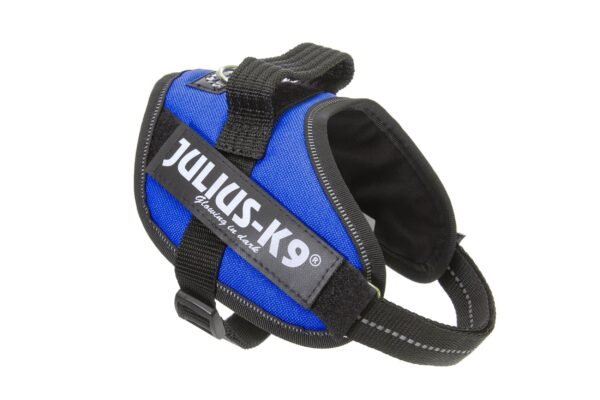IDC Powerharness - Blue / Size Mini-Mini - Image 2