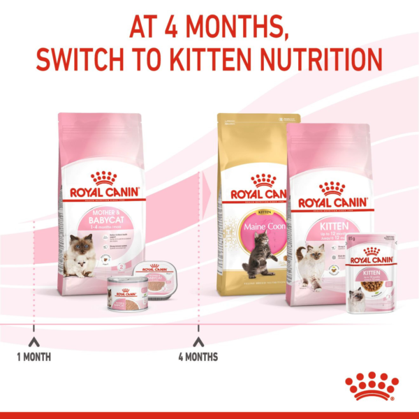 Feline Health Nutrition Mother & Babycat 10 KG - Image 9