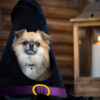 BED FRIGHT WITCH HAT 36 x 45 cm - Image 3