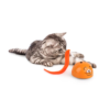 Modern Cat - Mad Mouse - Image 4