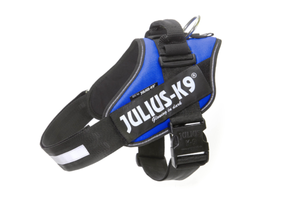 IDC Powerharness - Blue / Size Baby 2 - Image 3