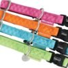 MACLEATHER ADJUSTABLE COLLAR 25MM ORANGE - Image 2