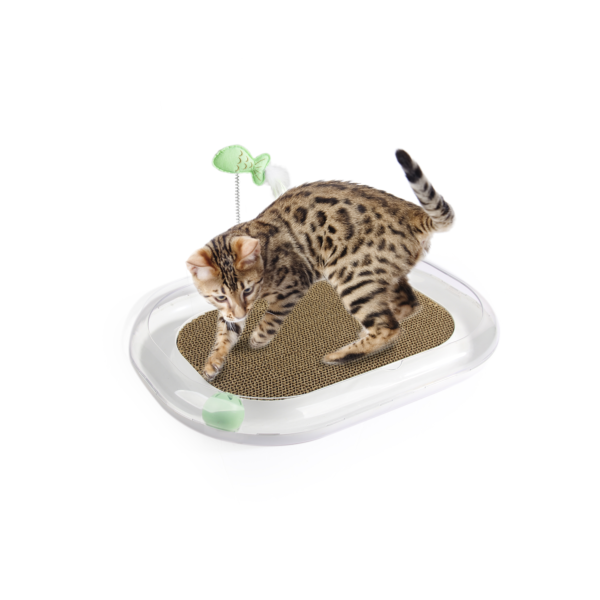 Cat Runway Scratcher - Image 3