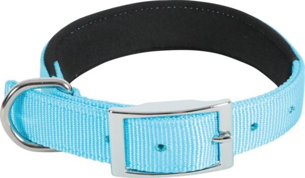 NYLON COMFORT COLLAR 45CM 20MM TURQUOISE