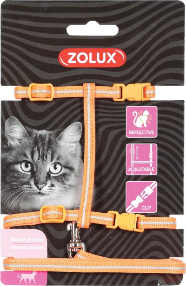 CAT HARNESS & LEASH KIT - ORANGE