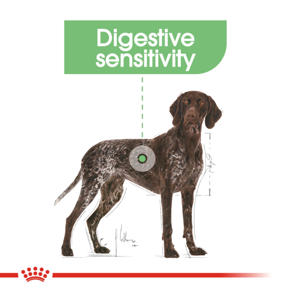 Canine Care Nutrition Maxi Digestive Care 12 KG - Image 3