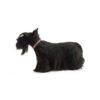 Crystal Princesse Collar - Pink / 35 cm - Image 2