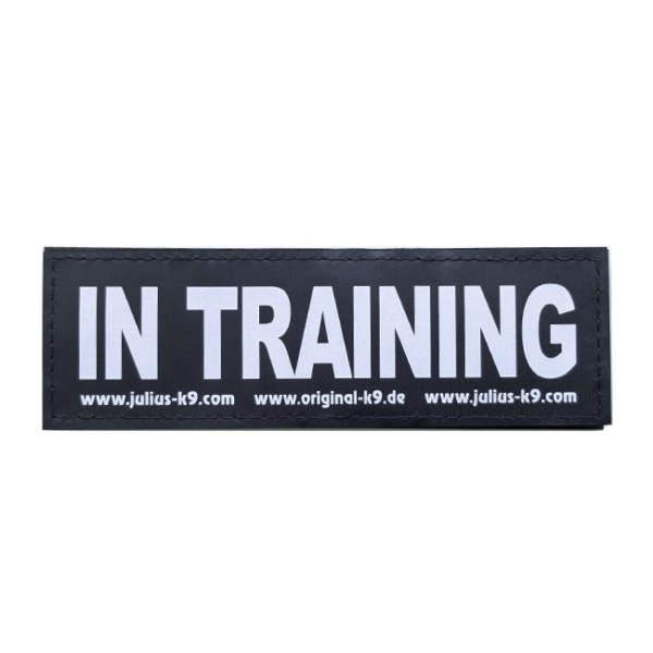 IN TRAINING PATCH - LARGE