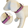 Mylord Leatherette Adjustable Dog Collar 26-40 x 1.5 cm Purple - Image 3