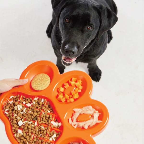 PetDreamHouse PAW Slow Feeder Orange - Image 4