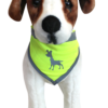 Visibility Dog Bandana Large - Neon Yellow