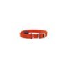 Flex Cat Collar - Orange