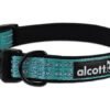 Adventure Collar - Small - Blue