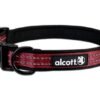 Adventure Collar - Small - Red
