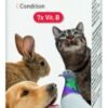 Vitamin B Complex - 50 ml