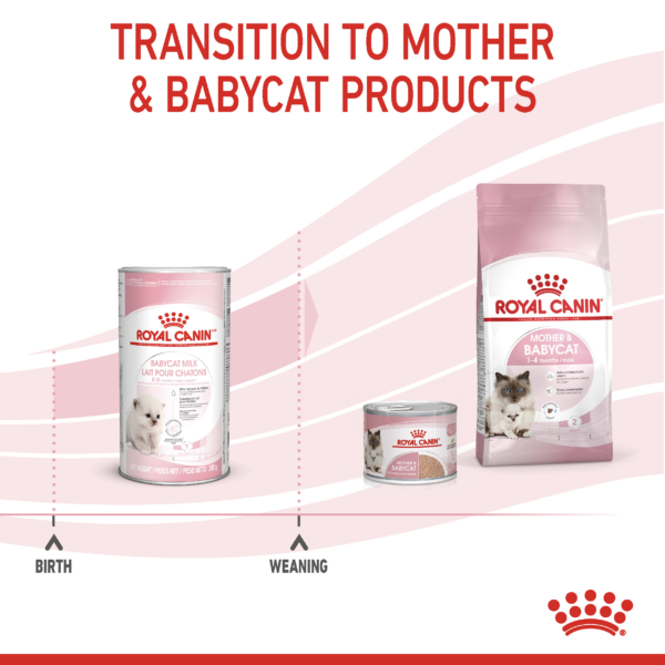 Feline Health Nutrition Babycat Milk 300 g - Image 9