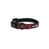 Adventure Collar - Small - Red - Image 2