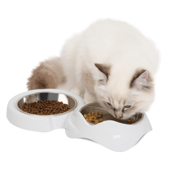 Catit PIXI Double Dish White - Image 5