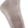 Natural Deer Antler Easy for Dogs Under 10Kg - Image 2