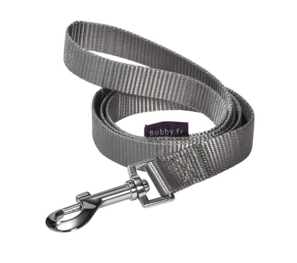 Access Leash - Grey / Medium