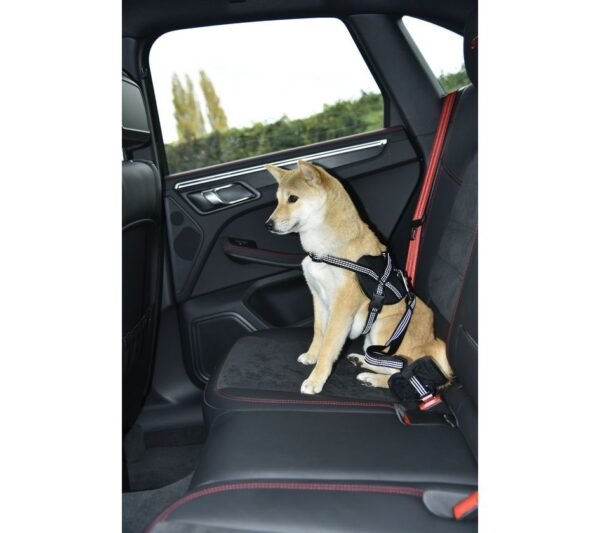 Car Leash 2 in 1 - Red / Medium - Image 3