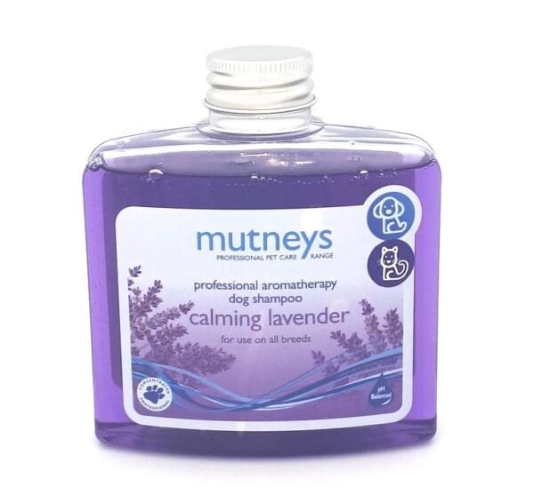 Calming Lavender Shampoo 250ml - Image 2