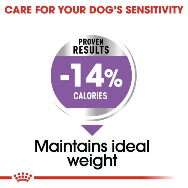 Canine Care Nutrition Mini Sterilized Adult 3 KG - Image 2