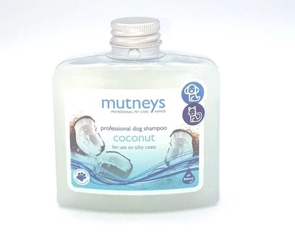 Coconut Shampoo  250ml - Image 2