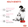 Feline Health Nutrition Mother & Babycat  4 KG - Image 3