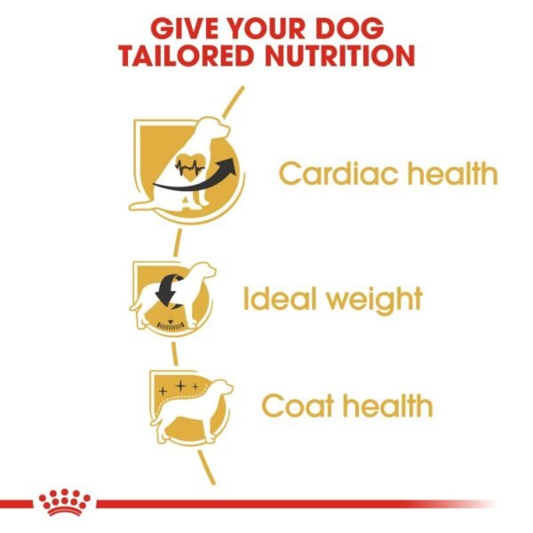 Royal Canin Breed Health Nutrition Cavalier King Charles Adult 1.5 KG - Image 2