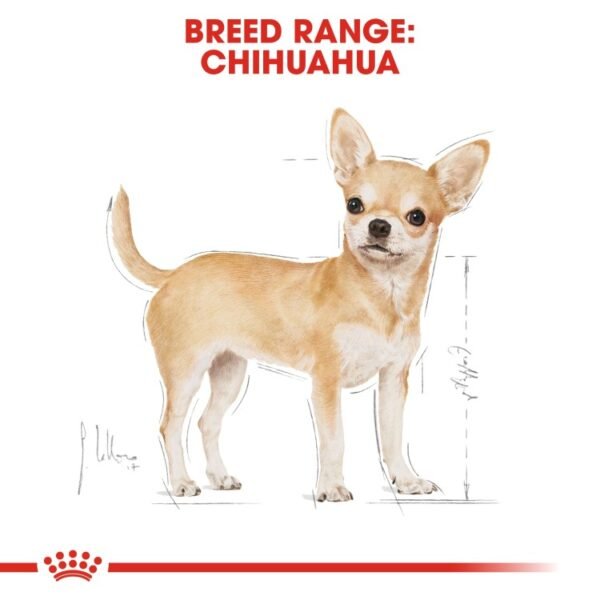 Royal Canin Breed Health Nutrition Chihuahua Adult 1.5 KG - Image 2