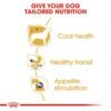 Royal Canin Breed Health Nutrition Chihuahua Adult (WET FOOD - Pouches) 12 x 85g - Image 5