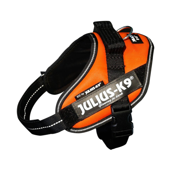 IDC High Visibility Powerharness - UV Orange / Size Mini - Image 2