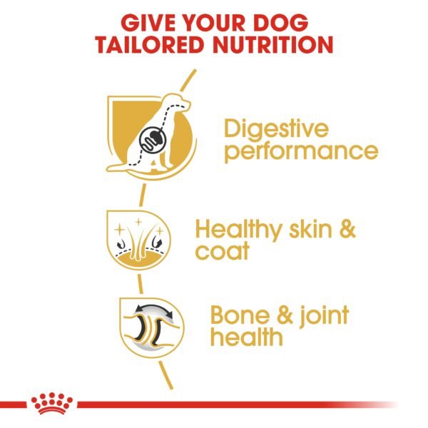 Breed Health Nutrition German Shepherd Adult 11 KG - Image 4