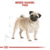 Breed Health Nutrition Pug Adult 7.5 KG - Image 2