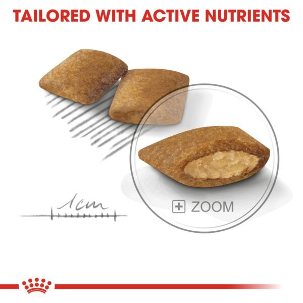 Canine Care Nutrition Exigent Mini 3 KG - Image 2
