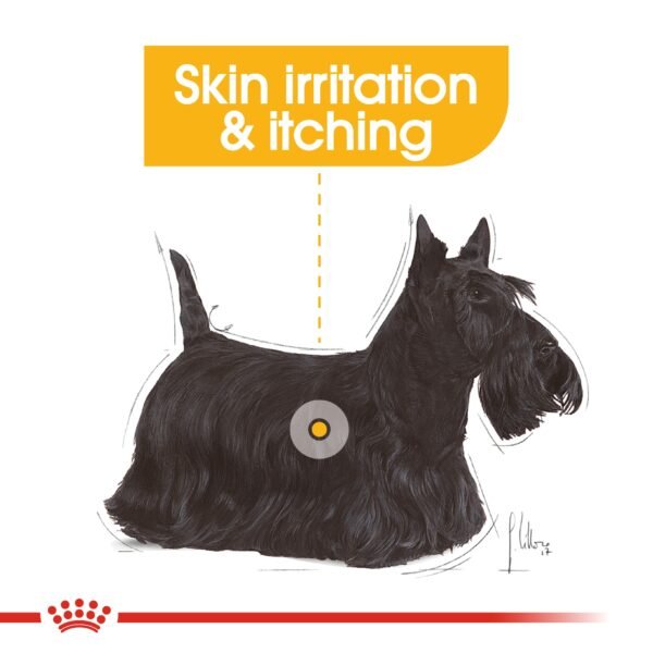 Canine Care Nutrition Dermacomfort (WET FOOD - Pouches)