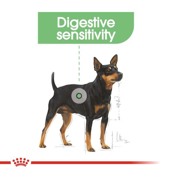 Canine Care Nutrition Digestive Care (WET FOOD - Pouches)