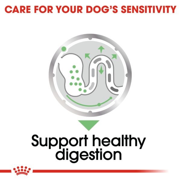 Canine Care Nutrition Digestive Care (WET FOOD - Pouches) - Image 2