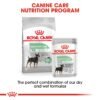 Canine Care Nutrition Digestive Care (WET FOOD - Pouches) - Image 4