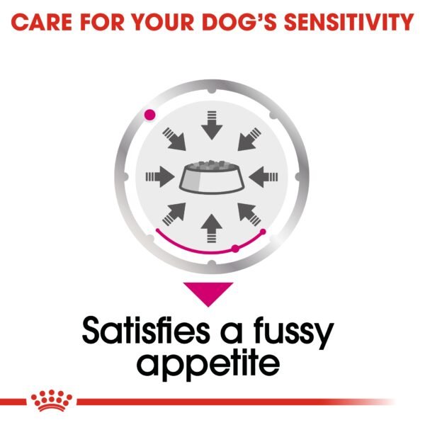 Canine Care Nutrition Exigent (WET FOOD- Pouches)