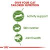 Feline Health Nutrition Outdoor 2 KG - Image 7