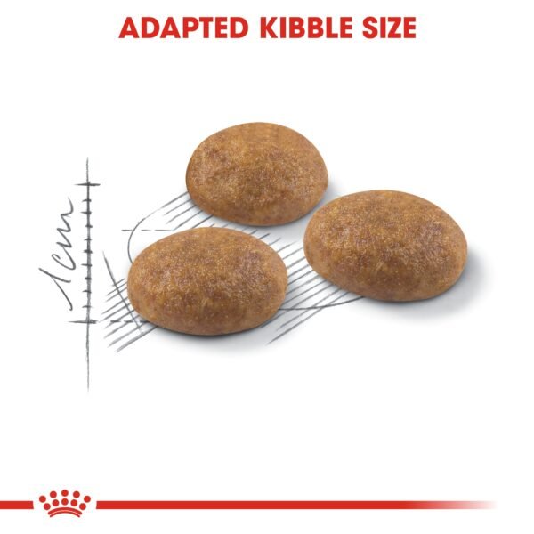 Feline Health Nutrition Outdoor 2 KG - Image 6