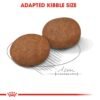 Size Health Nutrition Medium Adult 7+ 10 KG - Image 5