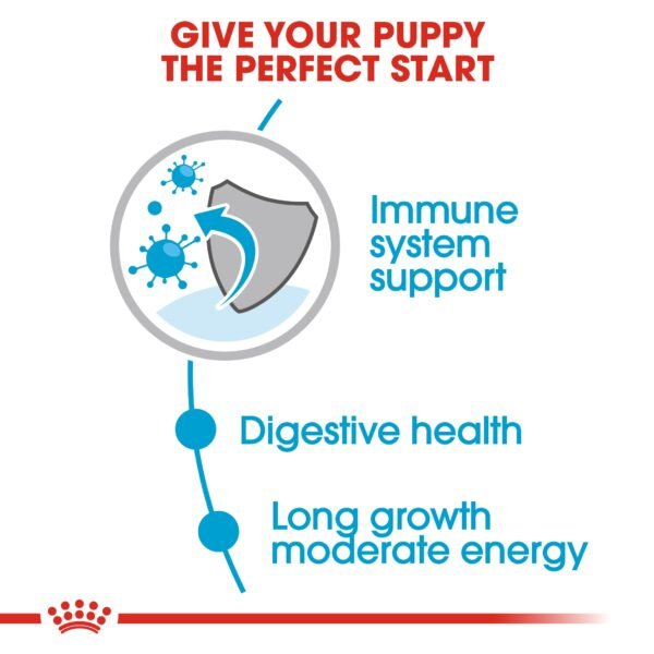 Size Health Nutrition Maxi Puppy (WET FOOD - Pouches) - Image 5