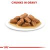 Size Health Nutrition Medium Adult (WET FOOD - Pouches) - Image 6