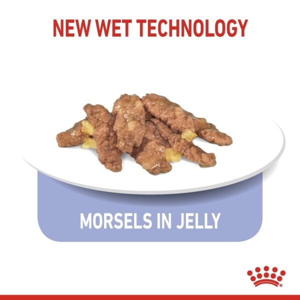 Feline Health Nutrition Indoor 7+ Jelly (WET FOOD - Pouches) - Image 2