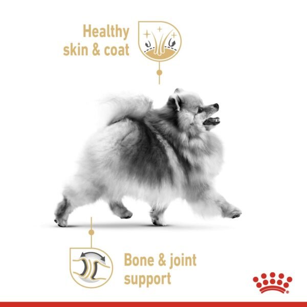 Breed Health Nutrition Pomeranian (WET FOOD - Pouches) - Image 3