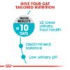 Feline Care Nutrition Urinary Care 400 g - Image 3