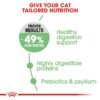 Feline Care Nutrition Digestive Care 400 g - Image 3